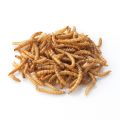 200 grams Dried Mealworms Part No.MEAL200